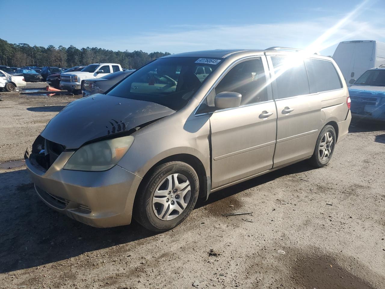 2006 Honda Odyssey Exl за продажба в Harleyville, SC - Front End