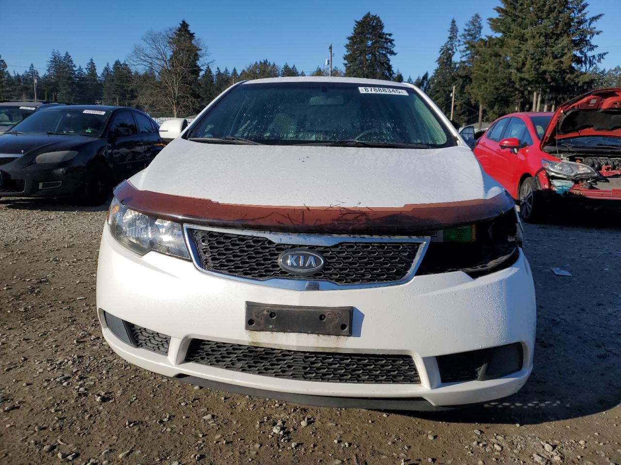 2011 Kia Forte - Image 5