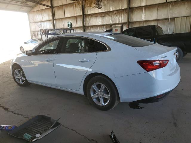  CHEVROLET MALIBU 2024 White