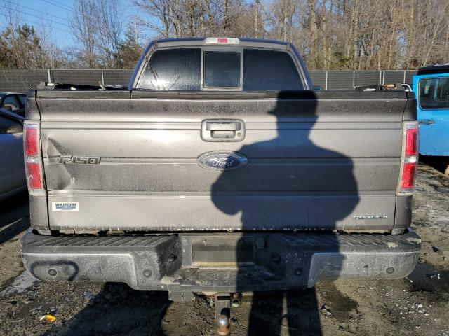 FORD F-150 2013 Серый