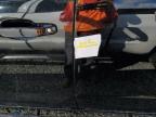 2018 Chevrolet Colorado Z71 en Venta en West Palm Beach, FL - Water/Flood