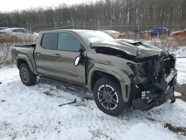  TOYOTA TACOMA 2024 Колір засмаги
