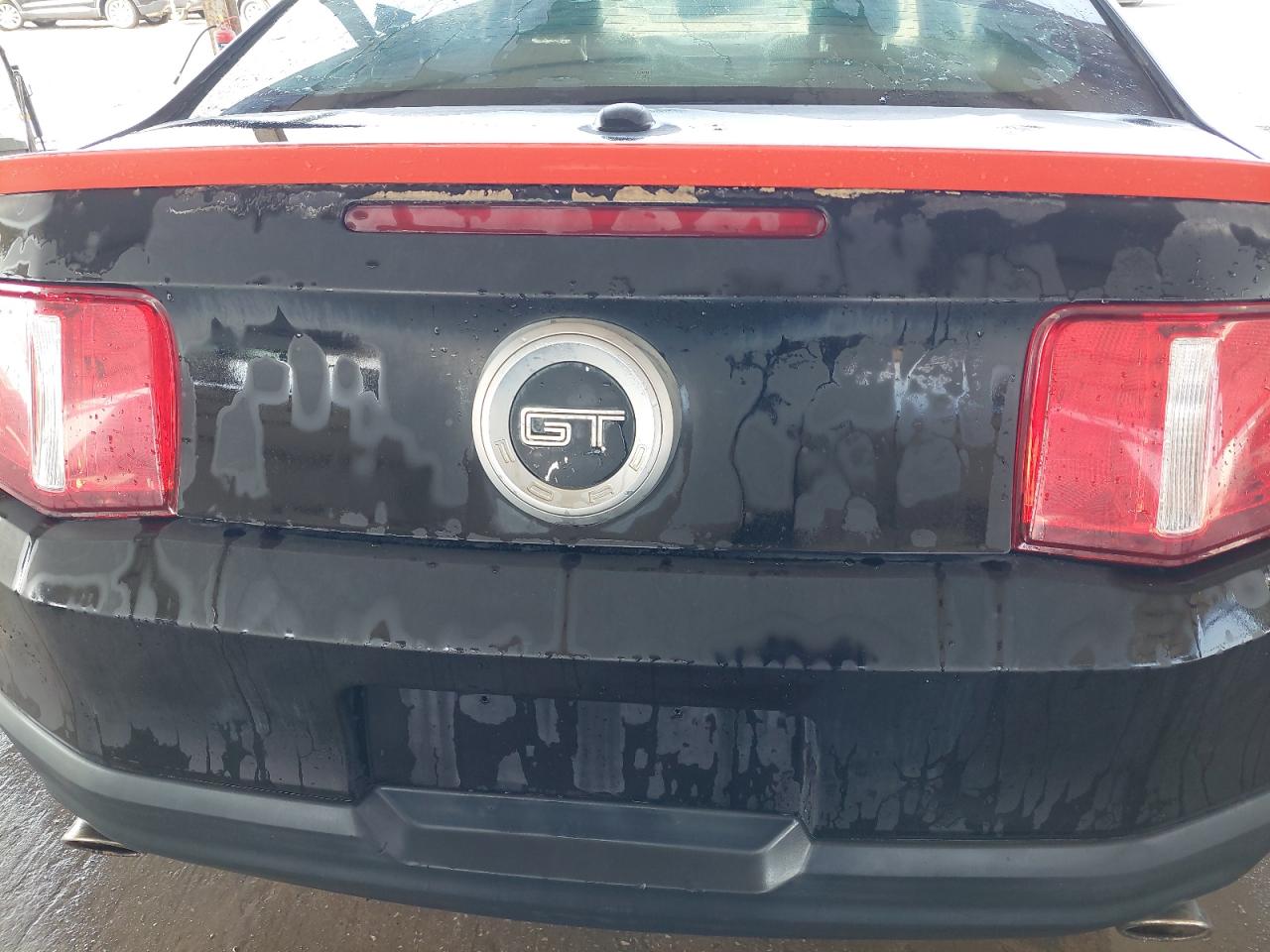 1ZVBP8CH9A5117985 - 2010 FORD MUSTANG - #43094175