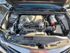 Newton, AL에서 판매 중인 2024 Toyota Camry Se Night Shade - Rear End