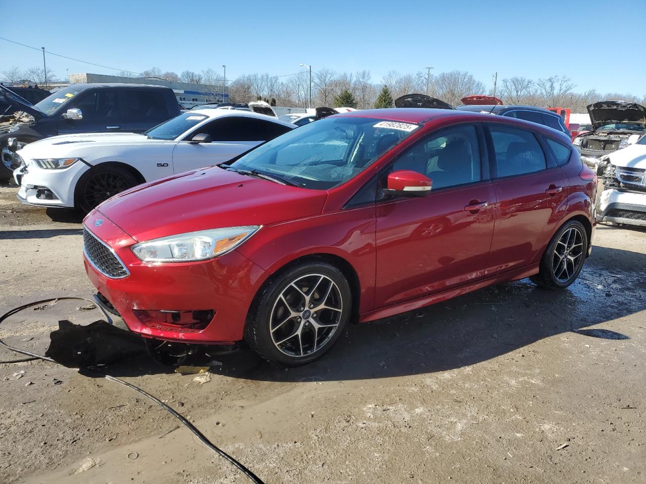 2015 Ford Focus - Image 1