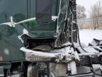 2021 Freightliner Cascadia 126  for Sale in Billings, MT - Side
