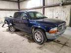 2004 Dodge Dakota Quad Slt продається в Eldridge, IA - Rear End