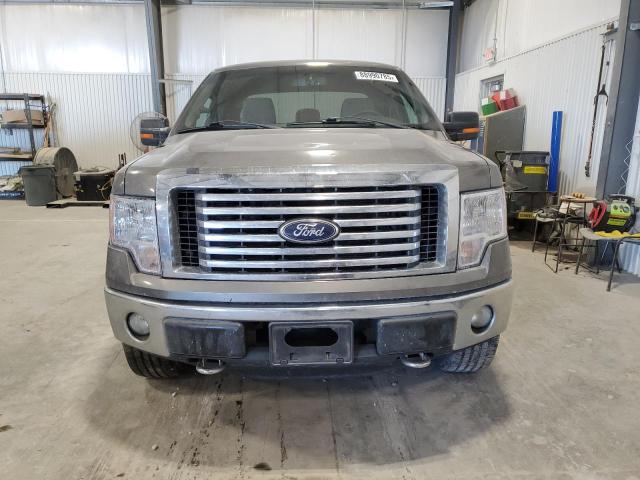  FORD F-150 2012 Gray