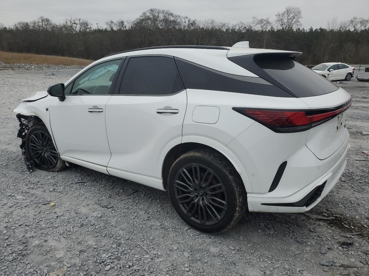 2023 Lexus RX - Image 2
