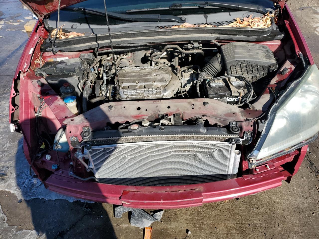 2005 Honda Odyssey Ex VIN: 5FNRL38415B086662 Lot: 88678935