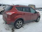 2016 Ford Escape Se en Venta en Wayland, MI - Front End