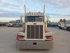 2007 Peterbilt 379  for Sale in Miami, FL - Normal Wear