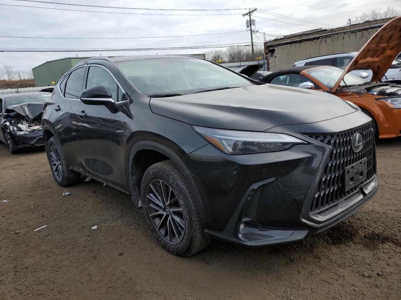 2022 Lexus NX - Image 4