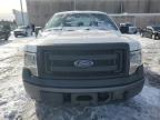 2014 Ford F150  за продажба в Fredericksburg, VA - Rear End