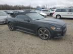 2015 Ford Mustang  zu verkaufen in Memphis, TN - All Over