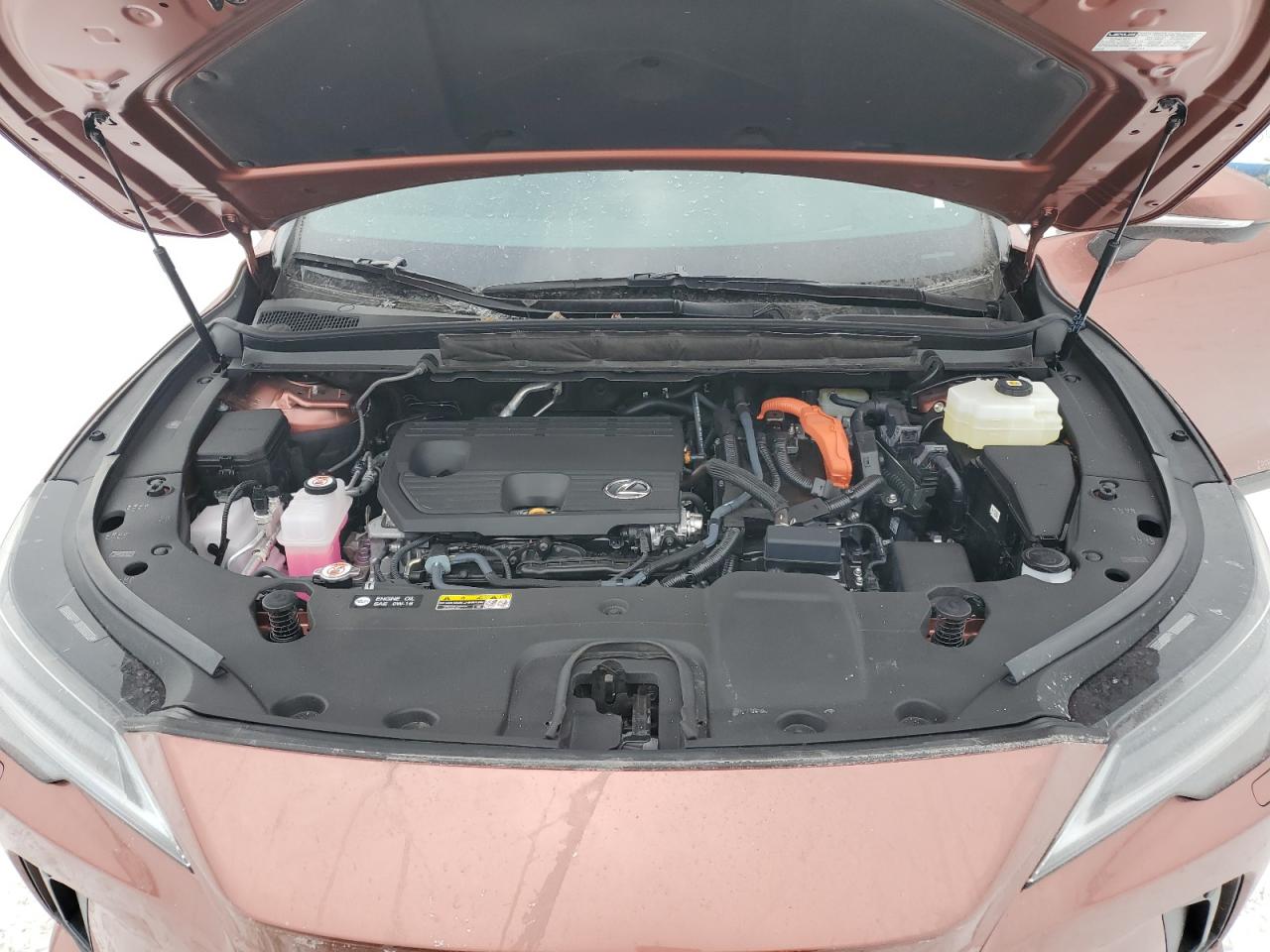 2024 Lexus RX - Image 12
