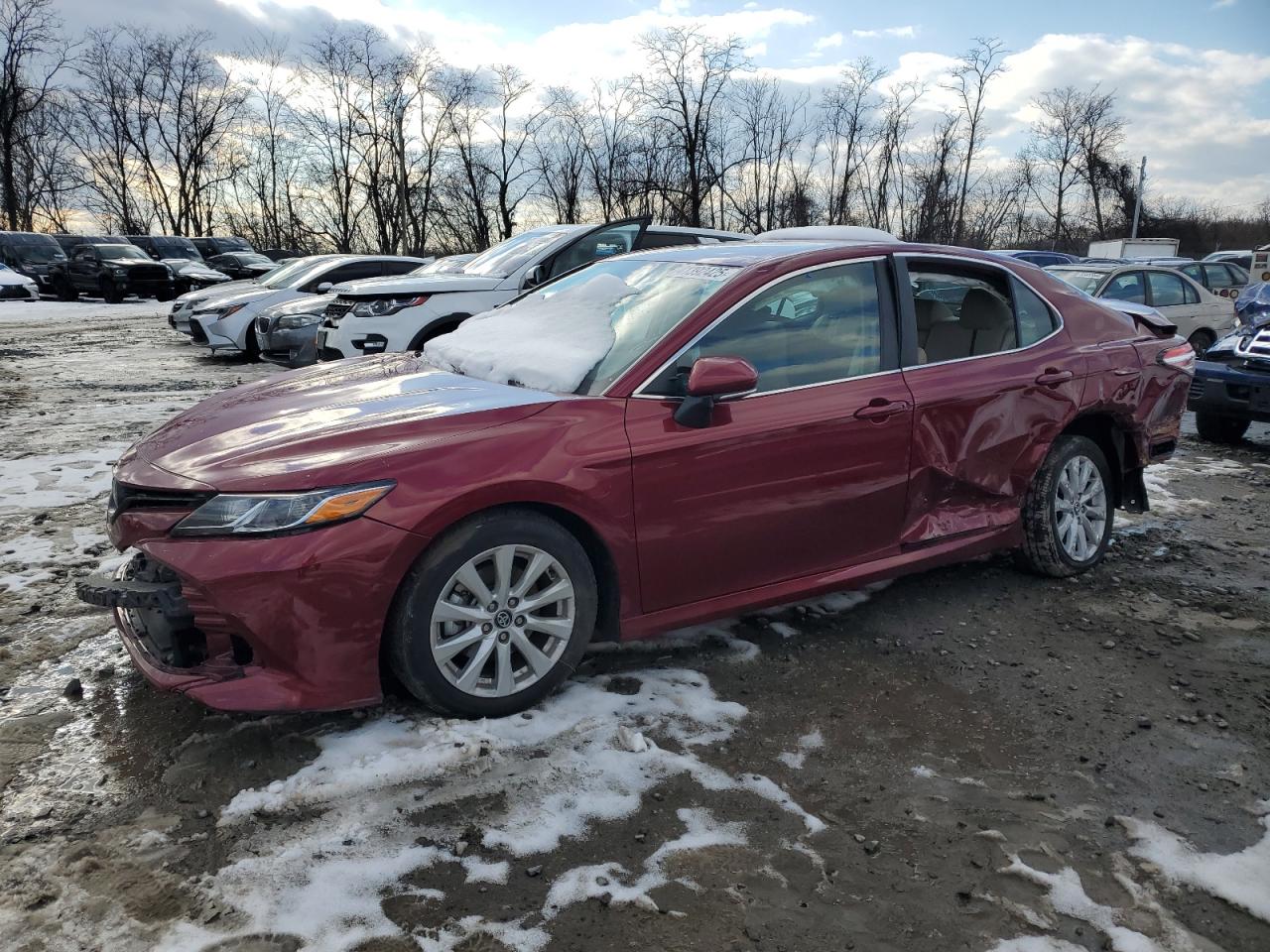 2020 Toyota Camry - Image 1