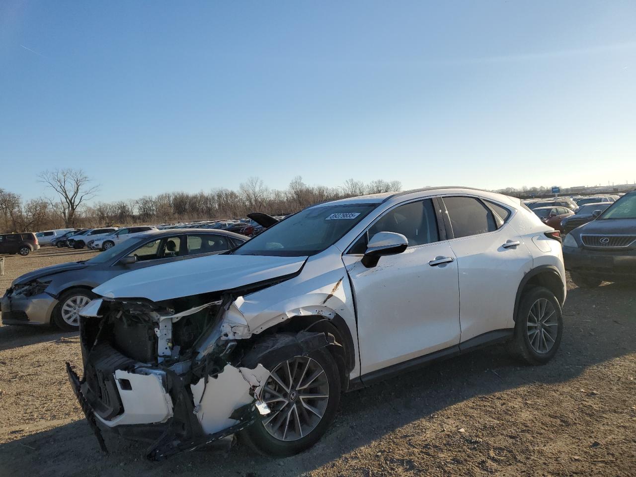 2022 Lexus NX - Image 1