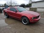 2005 Ford Mustang  للبيع في Lexington، KY - Rear End