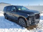 2023 Cadillac Escalade Sport Platinum продається в Louisville, KY - Burn