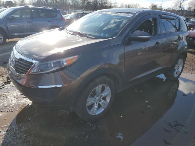  KIA SPORTAGE 2013 tan