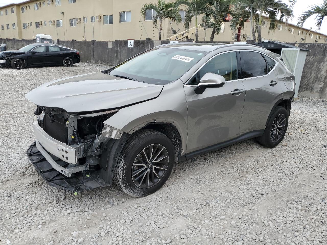 2024 Lexus NX - Image 1