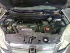 2007 Honda Cr-V Ex на продаже в Lawrenceburg, KY - Rear End