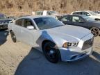 2012 Dodge Charger Police na sprzedaż w Marlboro, NY - Minor Dent/Scratches