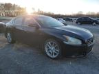 2010 Nissan Maxima S en Venta en Gastonia, NC - Front End