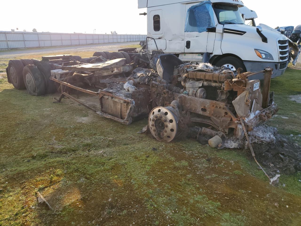 2018 Freightliner Cascadia 126  for Sale in Fresno, CA - Burn