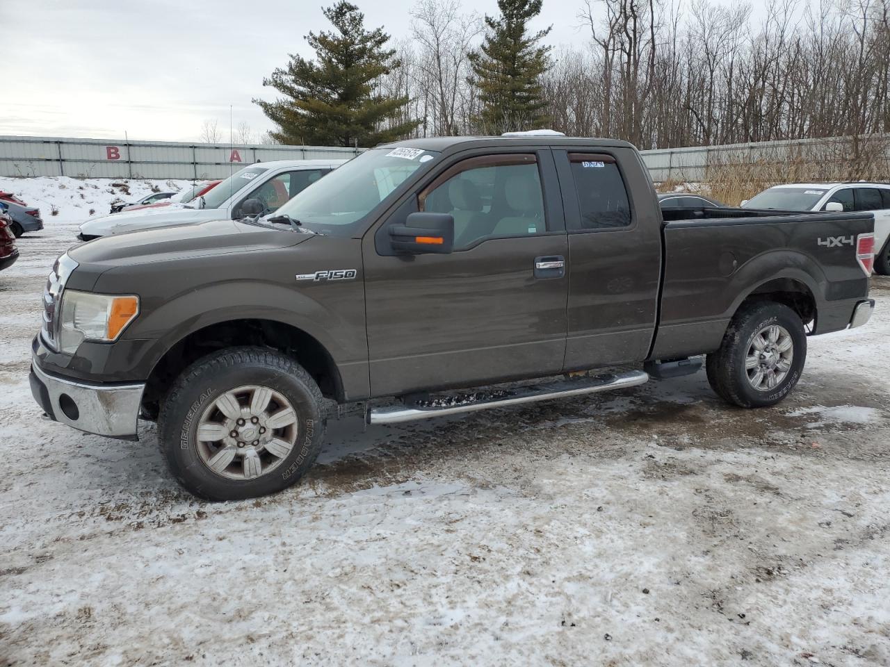 2009 Ford F-150 - Image 1