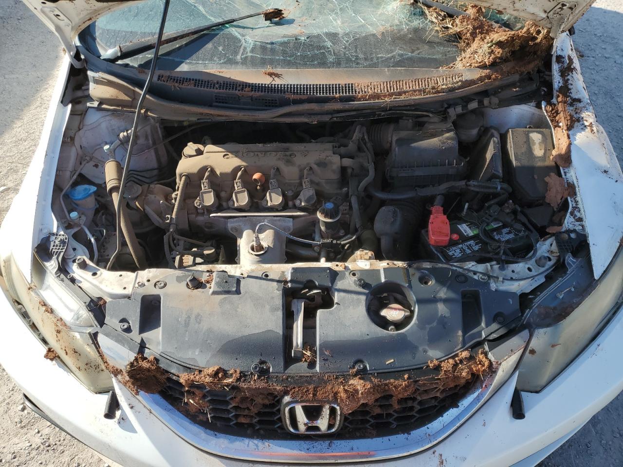2014 Honda Civic - Image 11