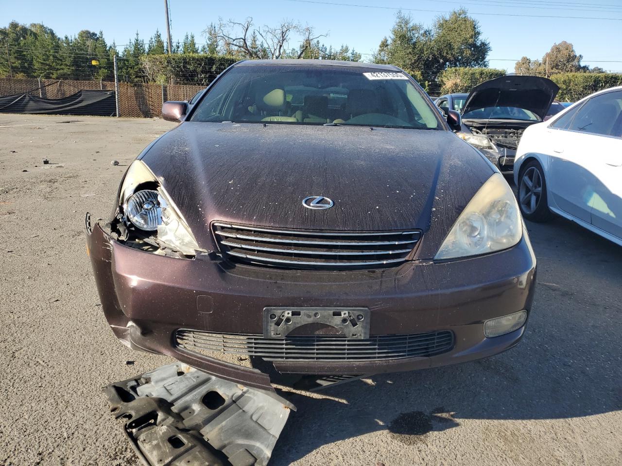 2004 Lexus ES - Image 5