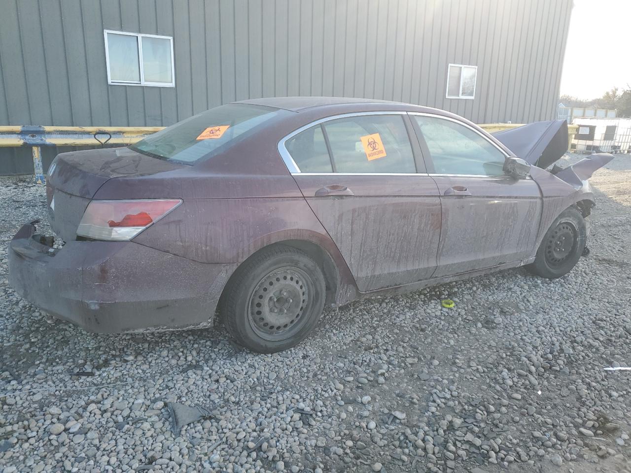 2010 Honda Accord - Image 3