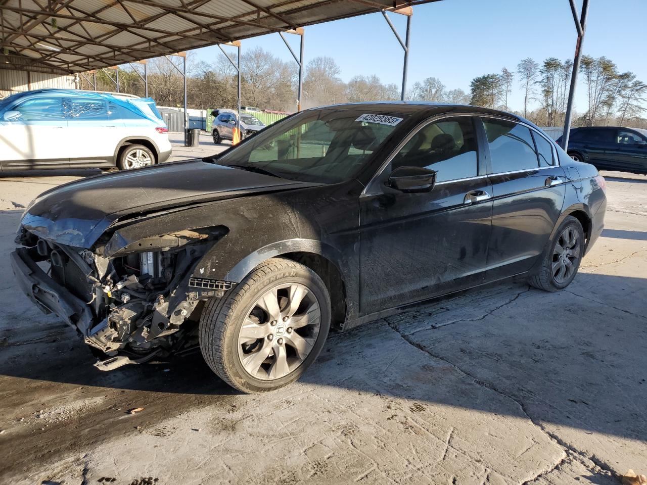 2010 Honda Accord - Image 1