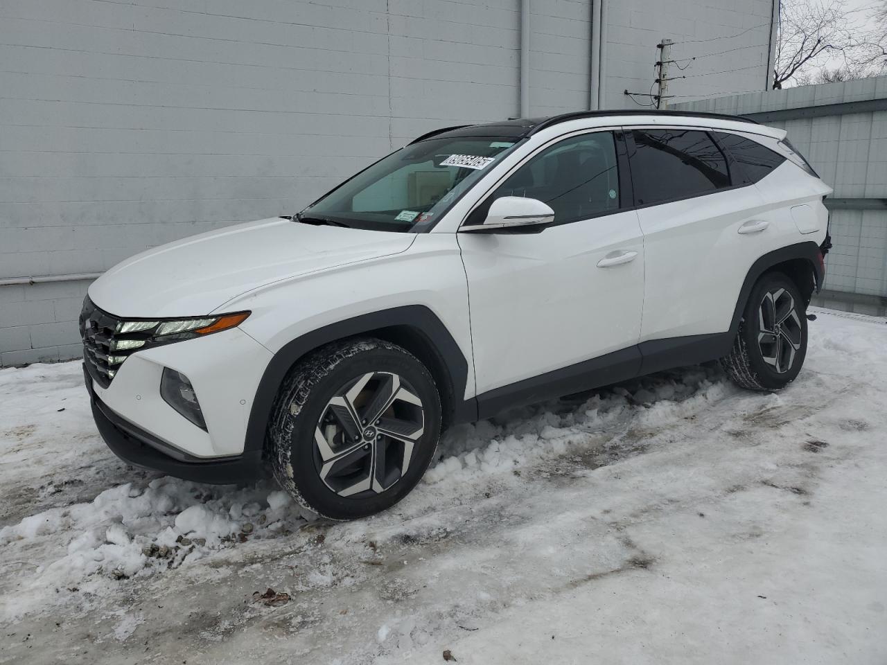 2023 Hyundai Tucson - Image 1