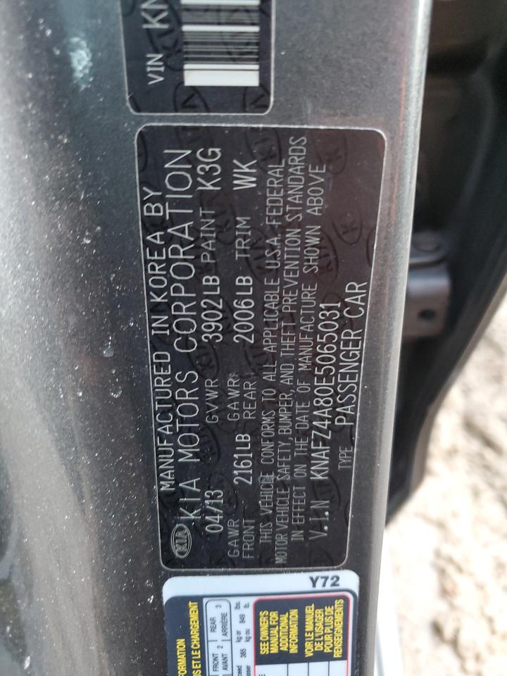 2014 Kia Forte Ex VIN: KNAFZ4A80E5065031 Lot: 89357805