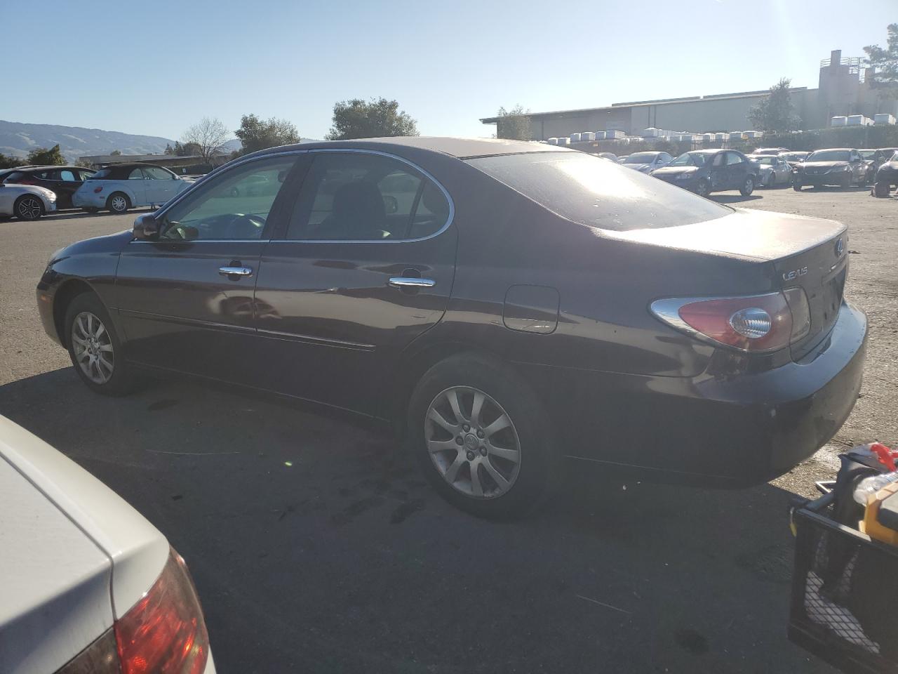 2004 Lexus ES - Image 2