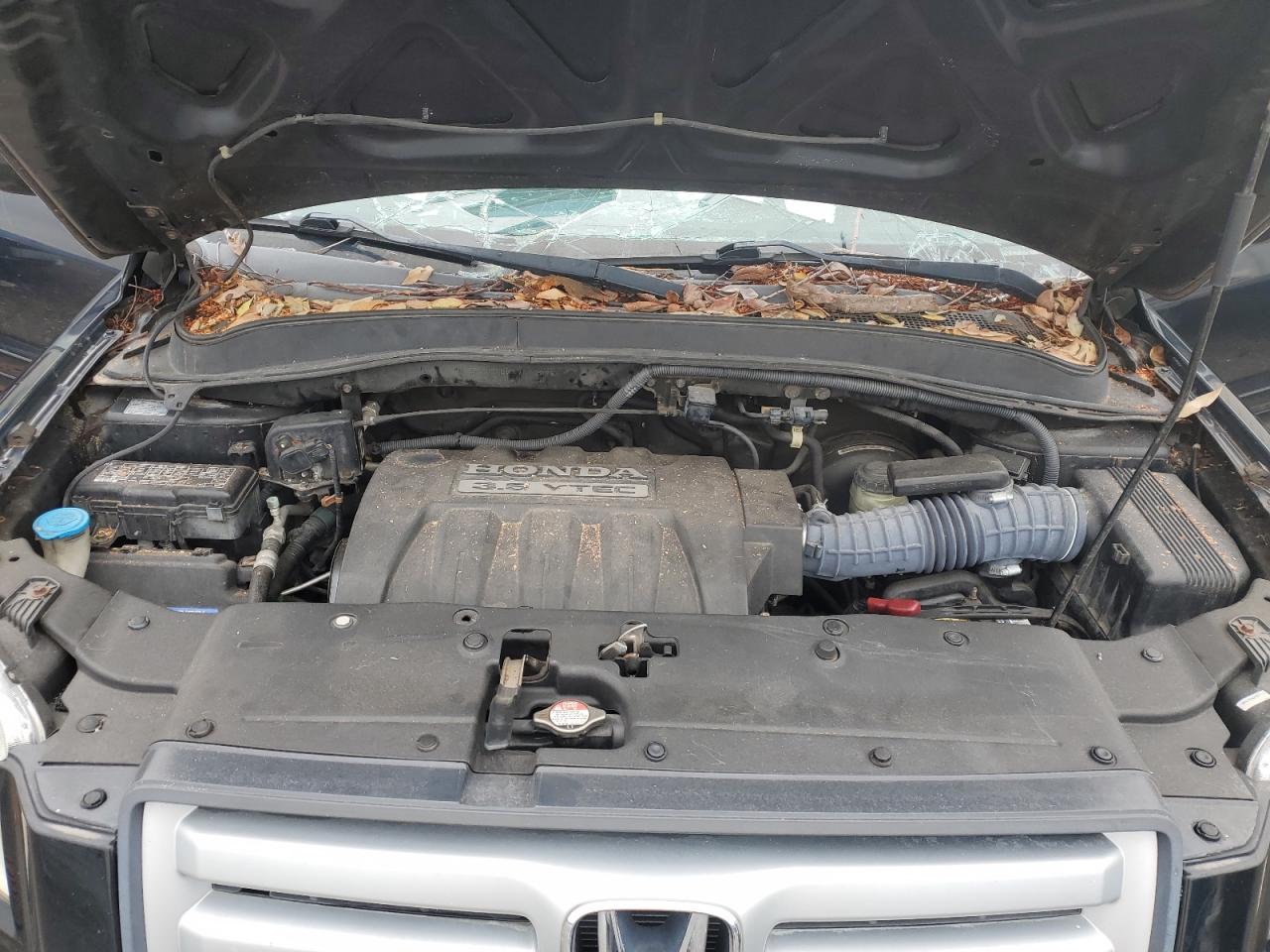 2007 Honda Pilot - Image 12