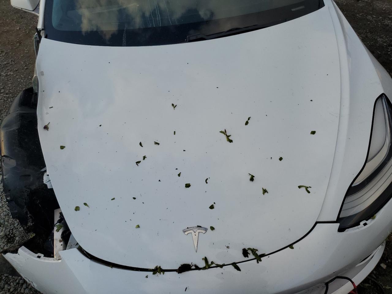 2019 Tesla Model 3 VIN: 5YJ3E1EB1KF194203 Lot: 43067465