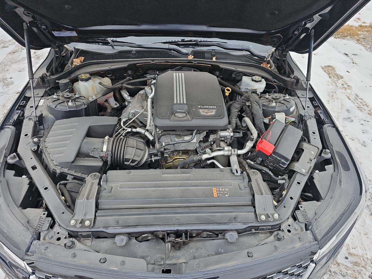 2021 Cadillac Ct4 Premium Luxury VIN: 1G6DF5RK7M0127533 Lot: 42586745