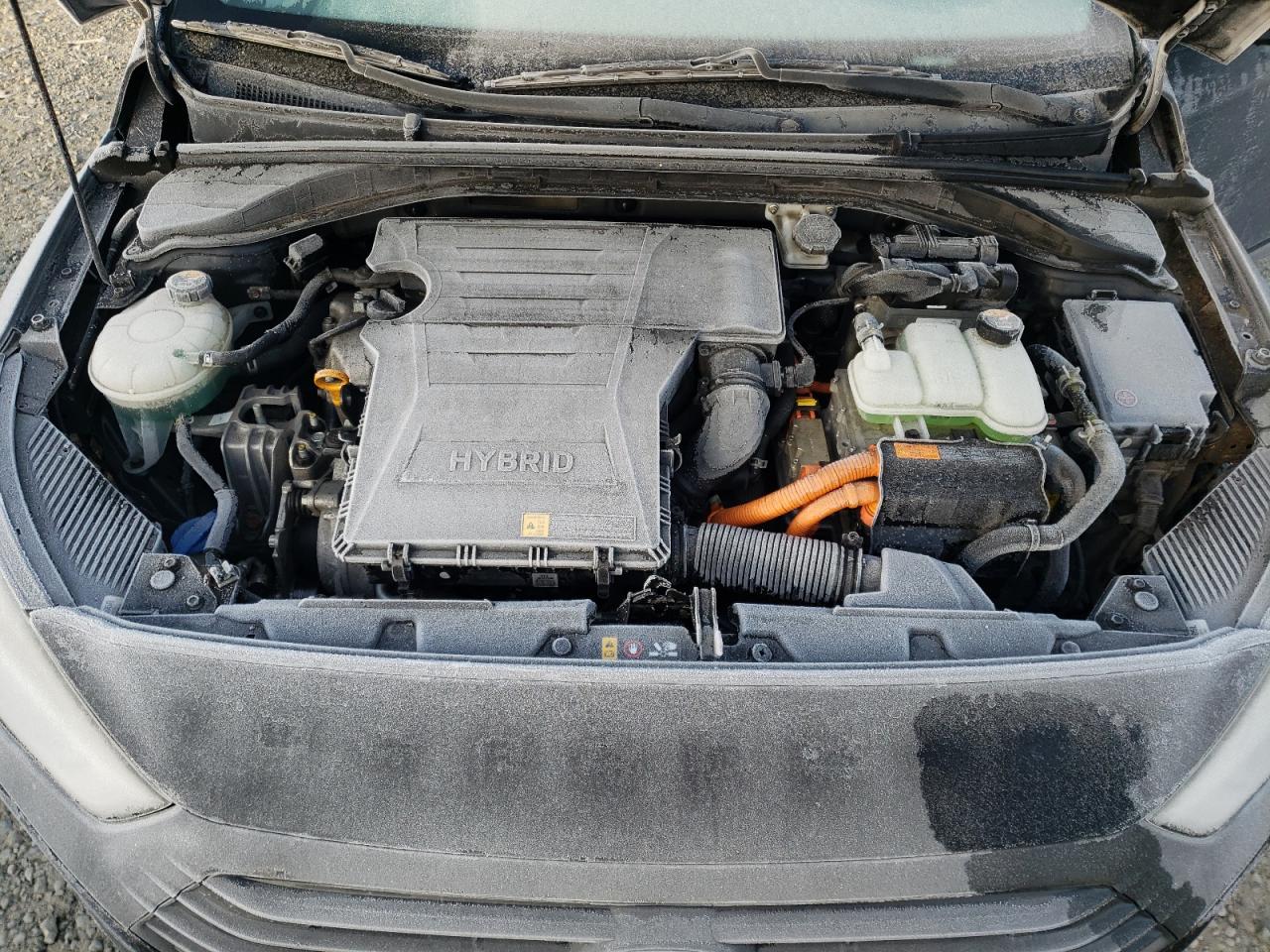 2017 Hyundai IONIQ - Image 11