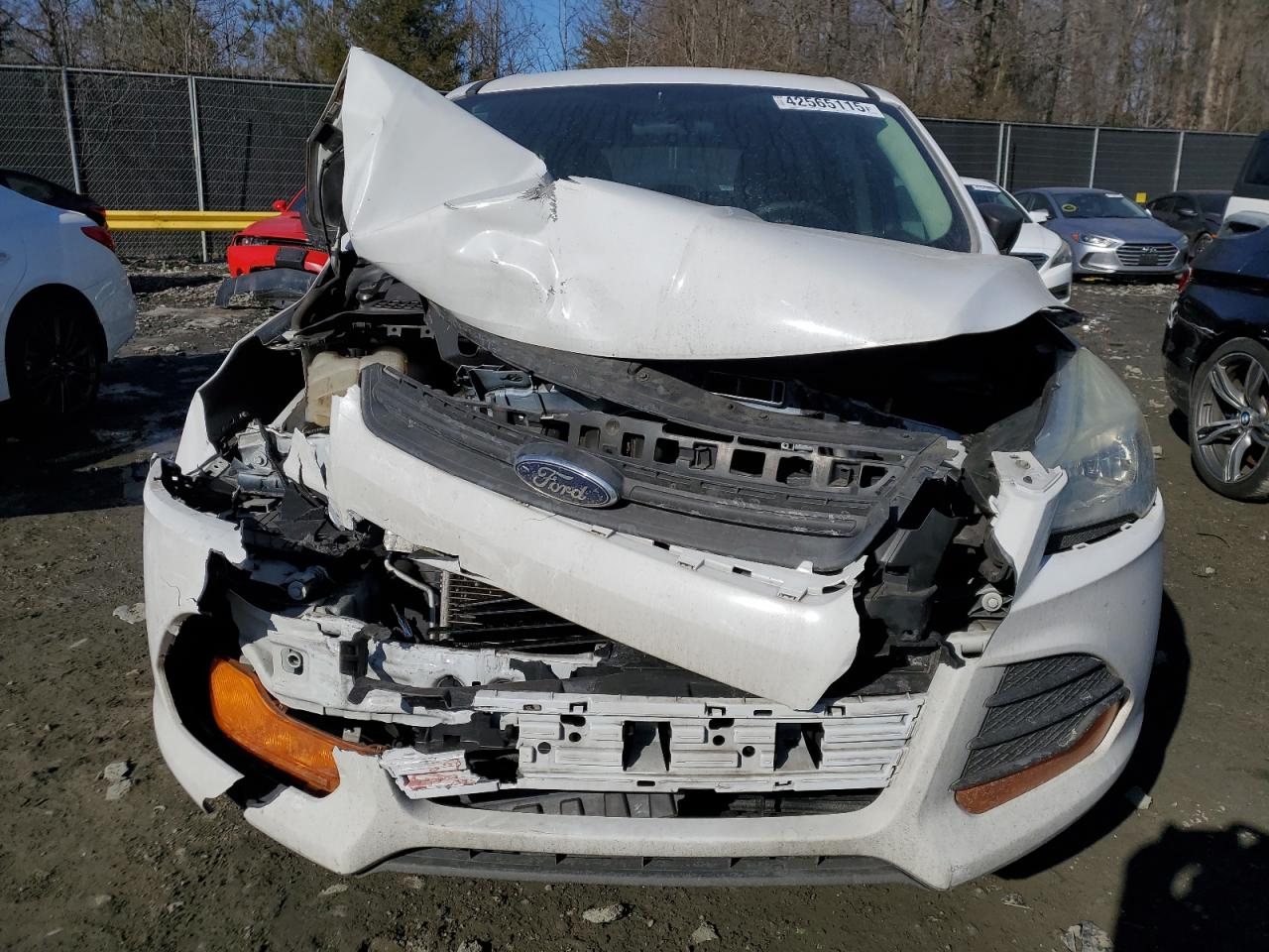 2014 Ford Escape - Image 5