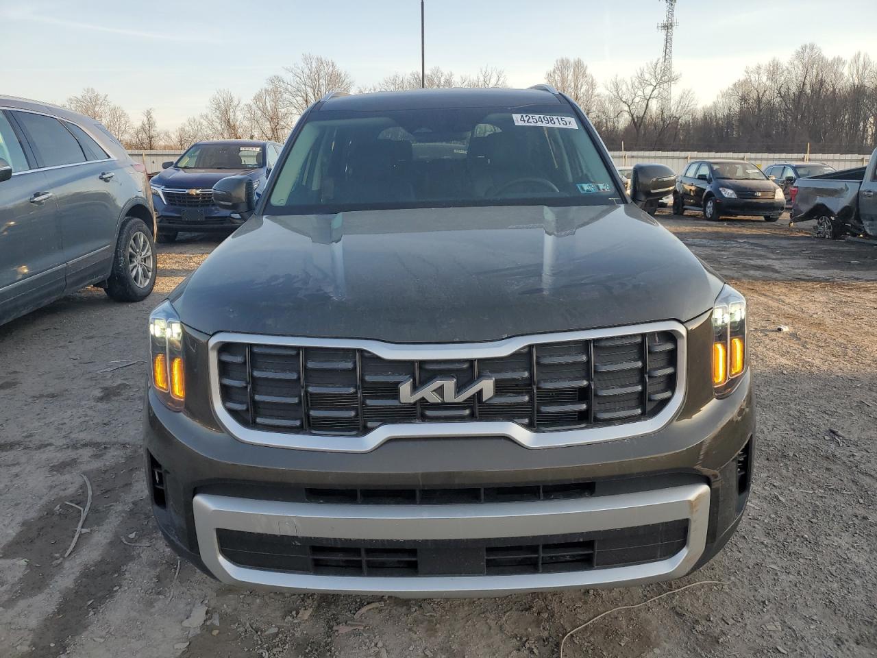 2024 Kia Telluride - Image 5