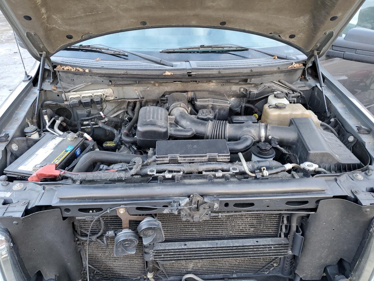 2010 Ford F-150 - Image 11