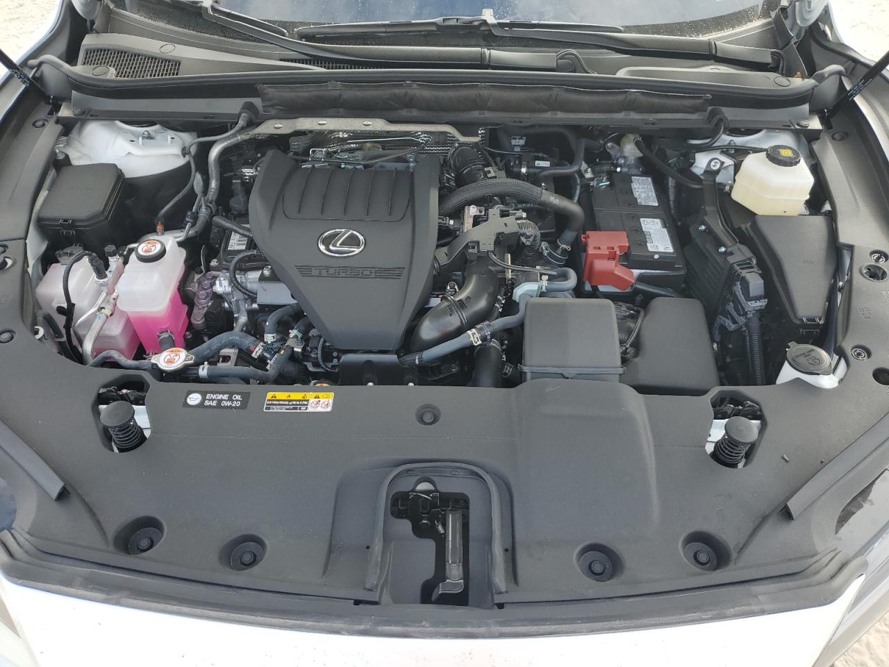 2024 Lexus RX - Image 14