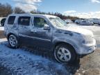 2011 Honda Pilot Ex للبيع في Brookhaven، NY - Rear End