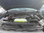 2024 Ford Expedition Xlt იყიდება Brighton-ში, CO - All Over