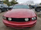 2005 Ford Mustang  للبيع في Lexington، KY - Rear End