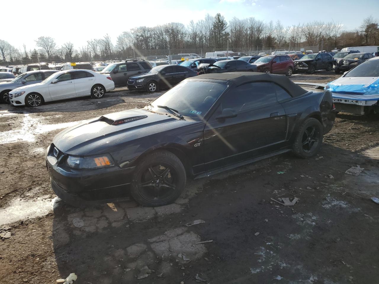 2002 Ford Mustang - Image 1